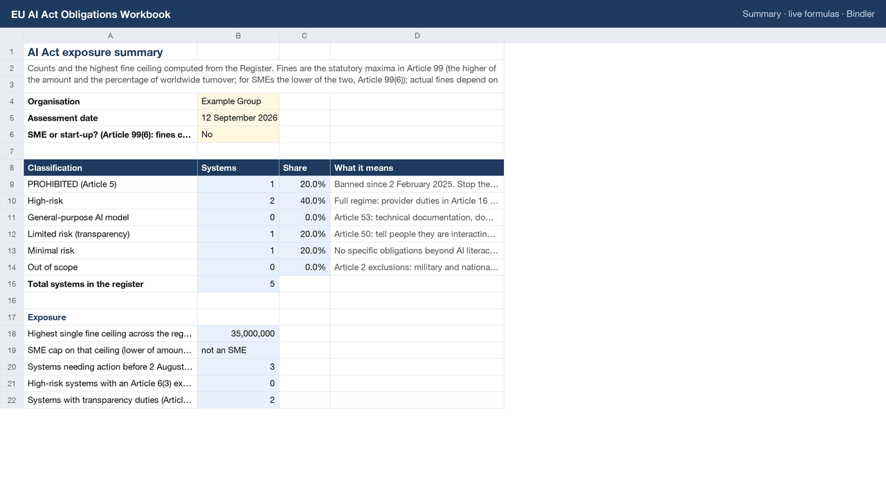EU AI Act Obligations Workbook sheet preview 2