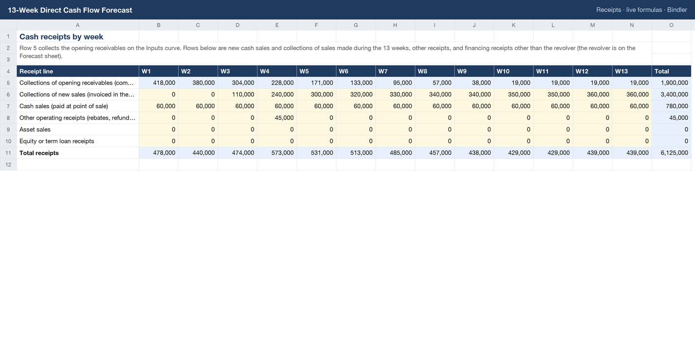 13-Week Direct Cash Flow Forecast sheet preview 2