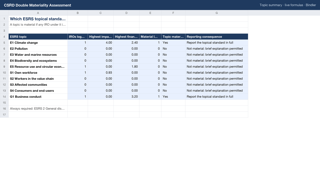 CSRD Double Materiality Assessment Workbook sheet preview 2