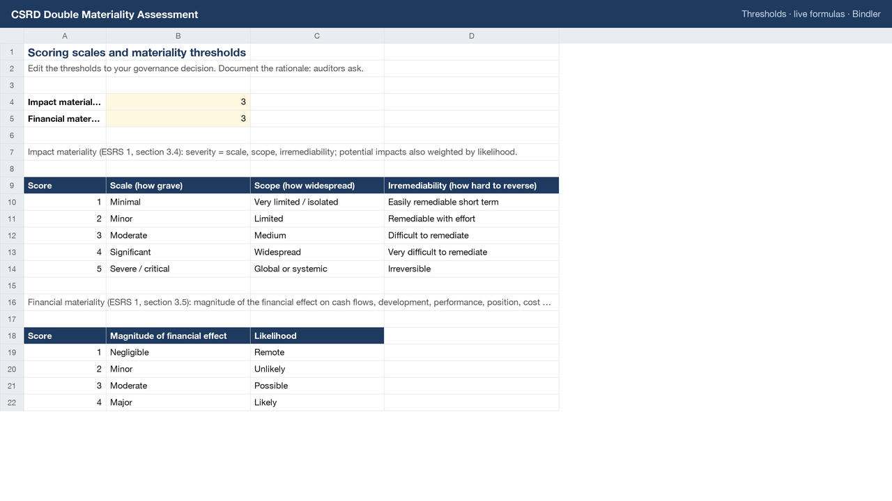 Thresholds sheet: scoring scales and the two materiality thresholds