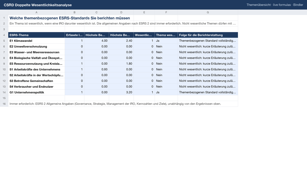 CSRD Doppelte Wesentlichkeitsanalyse sheet preview 2