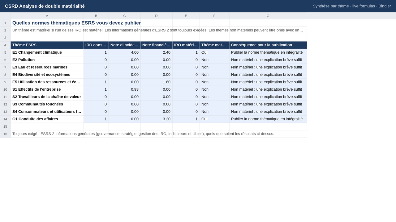 CSRD Analyse de double matérialité  sheet preview 2
