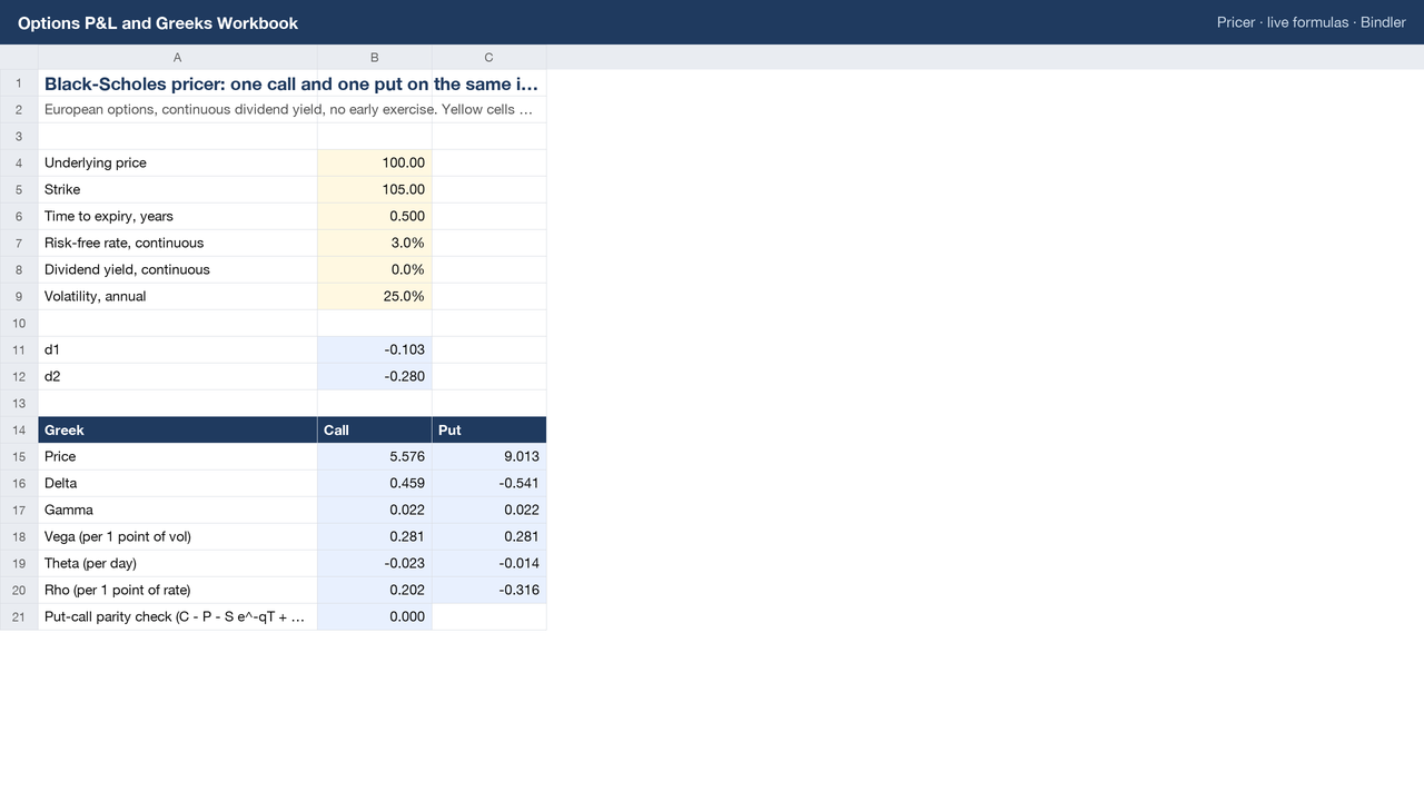 Options P&L and Greeks Workbook sheet preview 1
