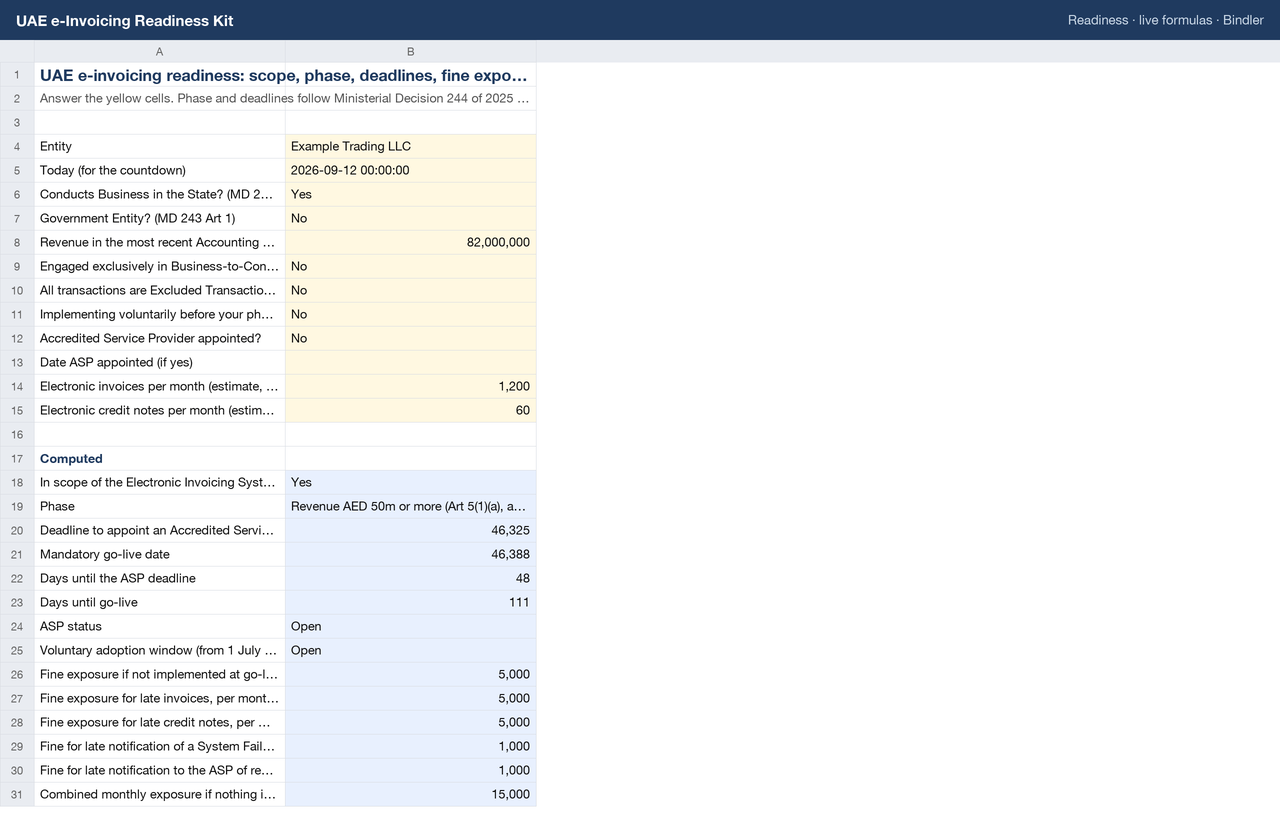 UAE e-Invoicing Readiness Kit sheet preview 1
