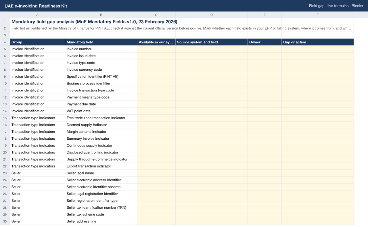 UAE e-Invoicing Readiness Kit sheet preview 2